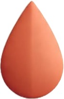 a pair of orange lipsticks.jpg